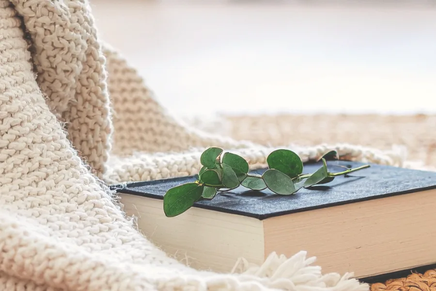 Das Rauhnächte Journal mit Eukalyptuszweig auf einer gestrickten Wolldecke